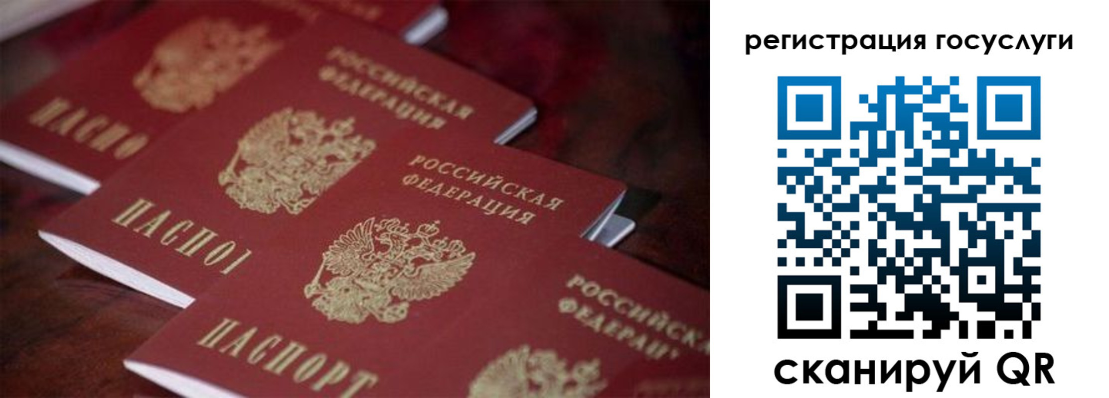 где прописаться в Белокурихе